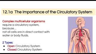 Open vs Closed Circulatory (Simple)