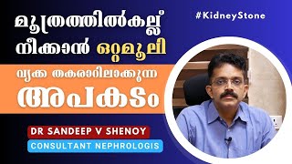 മൂത്രത്തില്‍കല്ല് നീക്കം ചെയ്യാന്‍ ഒറ്റമൂലി ഉപയോഗിക്കാറുണ്ടോ? | Kidney Stone | Dr Sandeep V Shenoy