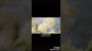 情感语录