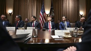 Trump cabinet meeting recap, federal employee layoffs