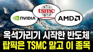 옥석가리기 시작한 반도체. 탑픽은 TSMC 말고 이 종목 #반도체 #주식