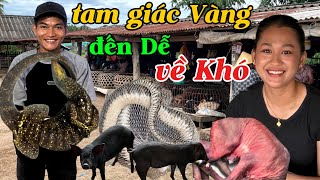 Khám Phá Chợ Lào Tam Giác Vàng Đặc Sản Hấp Dẫn Quên Lối Về