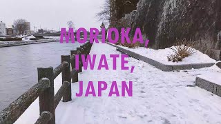 Walk with me 🇯🇵⁉️| MORIOKA, IWATE, JAPAN