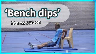 PE fitness circuit ideas › Arm Strength | Bench dips