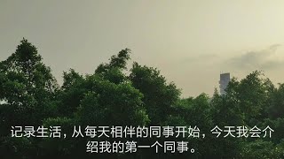 网赌后输光家产还欠几十万网贷的70后大叔，还有未来吗