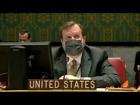 Who is the head of mission for UNISFA?