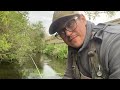 Small stream trout on Glass BFS rod