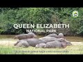 Queen Elizabeth national park | Bashem Safaris | Documentary