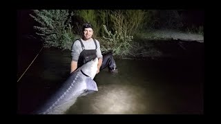 Eric's 8 ft 5 in idaho sturgeon