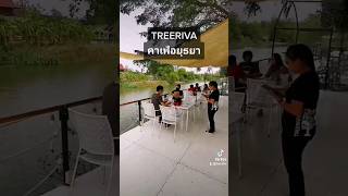 ThaiCafes.com | Treeriva คาเฟ่ริมน้ำบรรยากาศดี อยุธยา #cafereview #cafehopping #thailand #ayutthaya