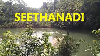 Seethanadi Nature Agumbe forests