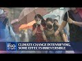 Climate change intensifying with some effects already irreversible: IPCC report | THE BIG STORY