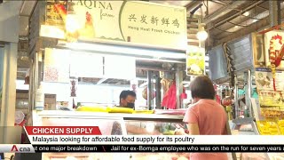 Malaysian Health Minister on plans to resolve chicken shortage