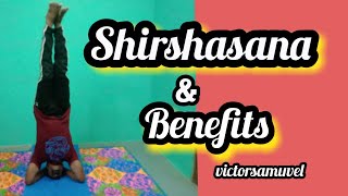 | Shirshasana| சிரசாசனம் பயன்கள்| How to do Shirshasana \u0026 benefits in Tamil|@VictorSamuvel