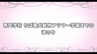 専門学校 ちば愛犬動物フラワー学園までの道案内