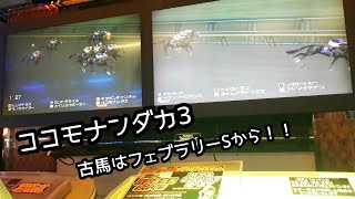 [スタホR] ココモナンダカ3 古馬はフェブラリーSから！！