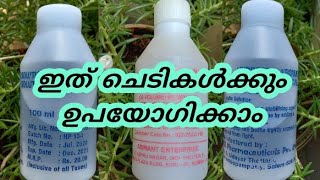 how to Use HYDROGEN PEROXIDE // HYDROGEN PEROXIDE ചെടികൾക്കും ഉപയോഗിക്കാം