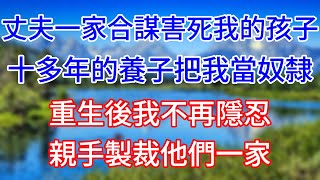 【聖誕節特集】丈夫一家合謀害死我的孩子，十多年的養子把我當奴隸，重生後我不再隱忍，親手製裁他們一家！#情感故事 #生活經驗  #為人處世  #老年生活#心聲新語