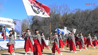 おどり隊連・飯能・日高鍋まつりin巾着田、2018年2月18日。