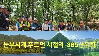 눈부시게 푸르던 시절의 365산우회