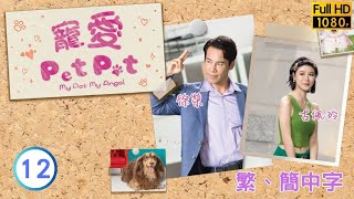 TVB愛情喜劇線上看 | 寵愛Pet Pet 12/20 | 冬甩得知真相險遇車禍 |林夏薇 |周嘉洛 |粵語中字 |2003 |My Pet My Angel