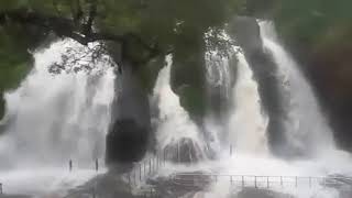 five falls courtallam Tamil Nadu Tours 🌲🌴🌴🌴🌳