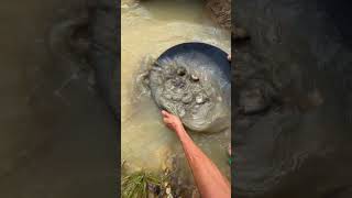 Super gold mining