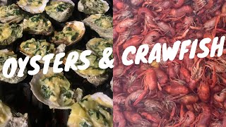 Louisiana Oysters Raw and Charbroiled (How To Shuck \u0026 Sauce Recipes) -  Plus Bonus Crawfish Boil