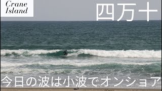 【今日の高知の波は小波で風が入ってます】四万十ポーク紹介動画