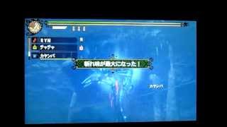 MH3G ラギアクルス希少種　ガンランス