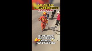 3米眼鏡王蛇現身路邊試圖攻擊群眾消防員到現場后發現大蛇正盤踞在公路旁，隨后消防救援人員使用捕蛇器抓住蛇頭，將其捉住后裝入編制袋內，將毒蛇交由林業局工作人員進行處理貴州dou知道