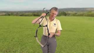 Rider Biomechanics - The Riders Belt - How to match the forces