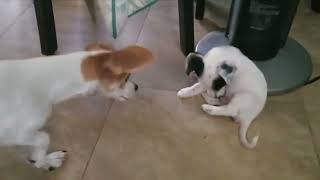 The Beginning of an Unexpected Friendship