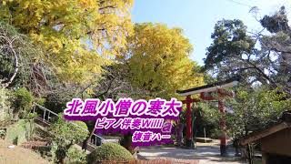 北風小僧の寒太郎＊複音ハ－モニカ（錦江町旗山神社の銀杏が綺麗でした)