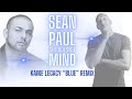 Sean Paul - She Doesn't Mind - Kaine Legacy 