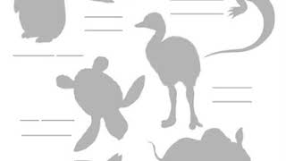 Step By Step Book Activities