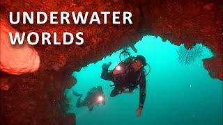 Expedition Deep Into The Indian Ocean | Documentary