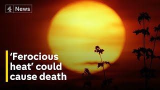 UK heatwave: ‘heat could cause death’, senior health official warns