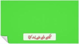 ❤️New green screen best Whatsapp status ❤️ | Saraiki Green Screen status | #Mkwrites99 |#DehatiBandy