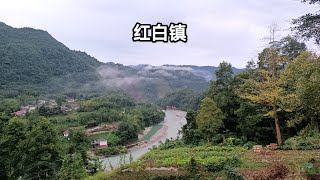 四川什邡红白镇，地震被夷为平地死亡2千多人，它有着怎样的历史故事