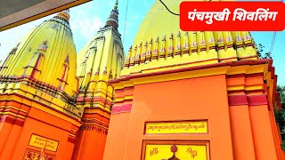 Panchmukhi Mahadev Mandir | पंचमुखी महादेव मंदिर | muzaffarnagar | arunkorivlogs