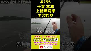 ＜予告編＞EP.255【千葉内房キス釣り】富津 上総湊海岸でシロギスの接岸を確かめる #shorts