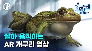 [펀잇] AR 개구리 영상