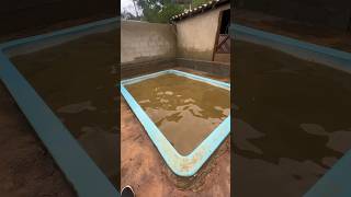 Limpando piscina 1 ano suja #limpeza #satisfying #pool #foryou #fy #viral #piscinas #satisfy #shorts