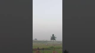 @మా ఊరు ## viral video... #village fog...