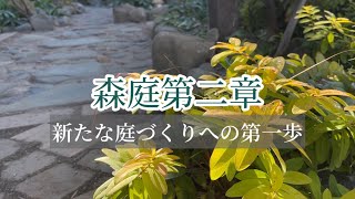 【落ち着いた癒しの庭へ大改造】年齢とともに変わる理想の庭🌿レンガの小道を石畳みに‼️