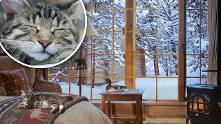 Cozy Cabin Ambience with a tired Cat and Gentle Snow and Crackling Fireplace Sounds | 5 Hours