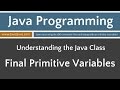 Learn Java Programming - Final Primitive Data Type Variables Tutorial