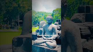 Borobudur The Timeless Wonder #shorts #viralvideos #youtubeshorts #borobudur #budha #temple