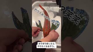 ホウボウに魅せられて❤️毎回絶対歌ってしまうのだwww  #釣り人あるある